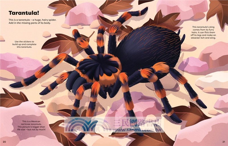 Big Sticker Book Bugs