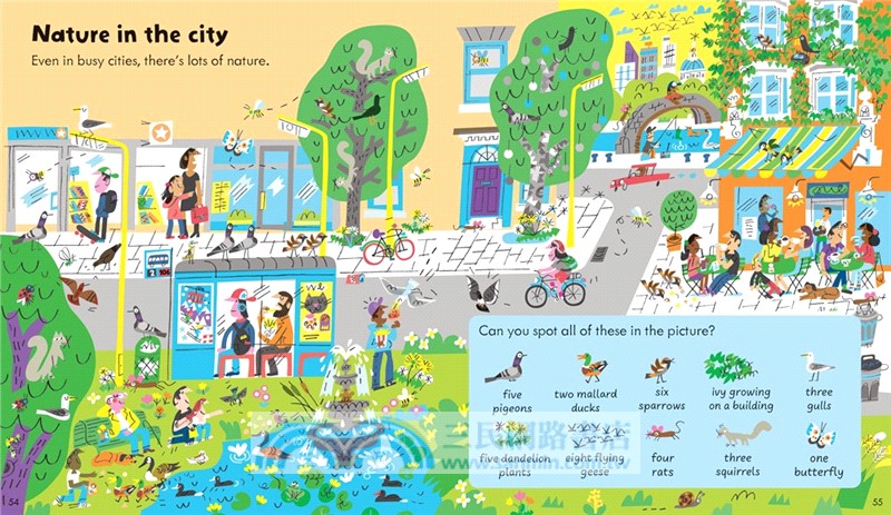 Usborne Activity Book Nature