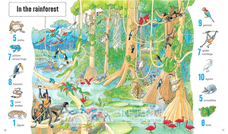 1001 Animals to Spot
