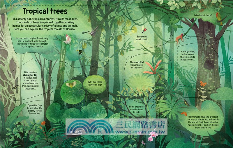 See Inside Trees