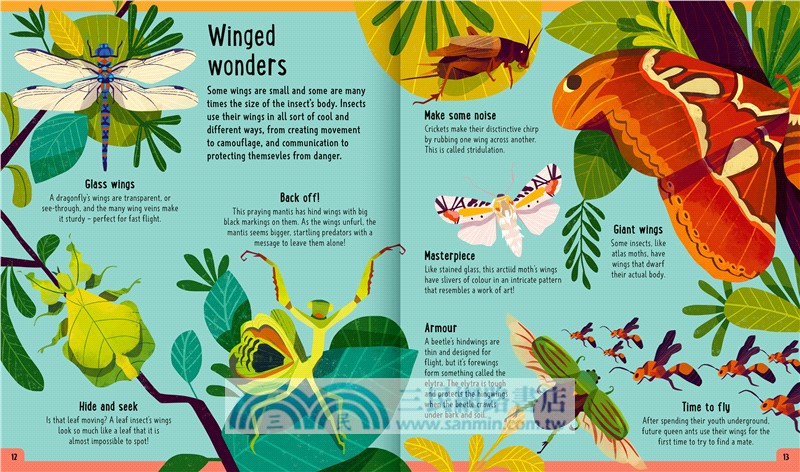 Bugs (A Day in the Life) : What Do Bees, Ants, and Dragonflies Get up to All Day?