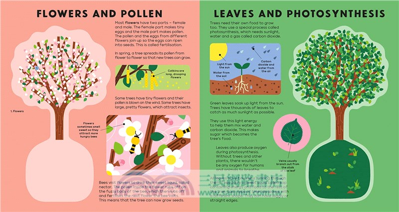 The Tree Book (硬頁書)(英國版)