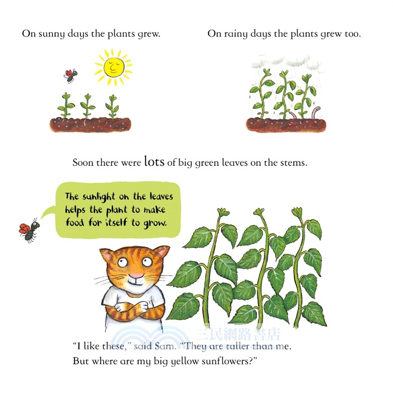National Trust: Sam Plants a Sunflower (with flaps and pop-up surprise!)(精裝書)