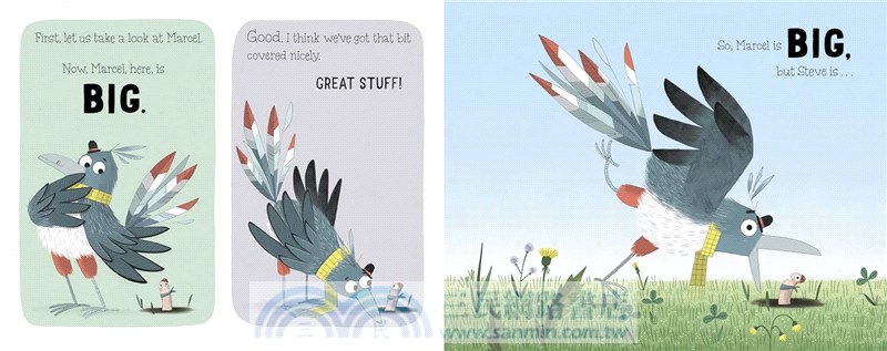 Who Ate Steve? (英國版)(平裝本)(2025 Carnegie Medal for Illustration Nominated)*附音檔QRcode*