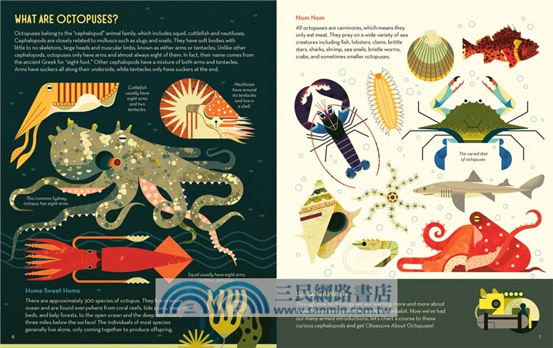 Obsessive About Octopuses