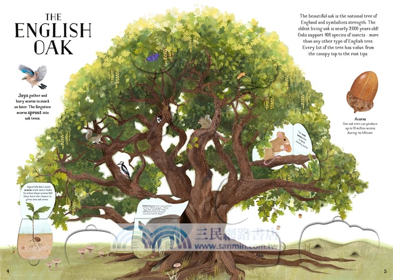 The Tree of Life：A lift-the-flap book about the amazing animals that live in trees around the world