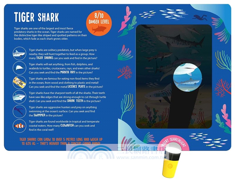 Magic Searchlight - Sharks