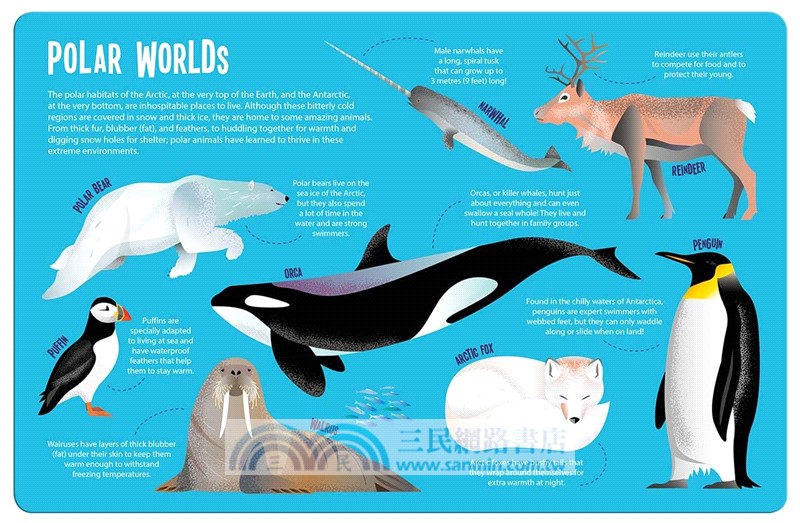 Magic Searchlight - Animals