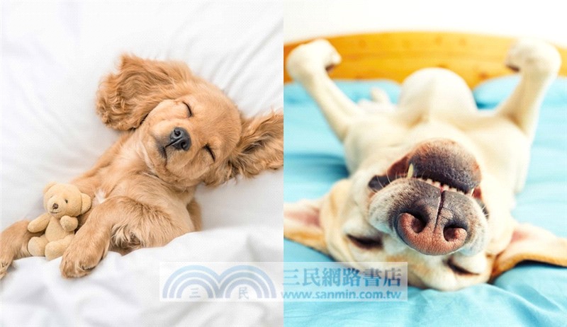 This Book Is Literally Just Pictures of Cute Dogs That Will Bring You Joy