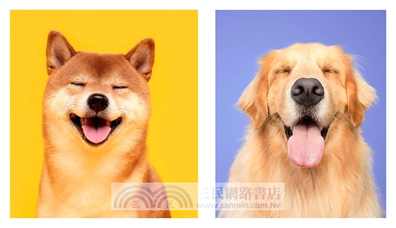 This Book Is Literally Just Pictures of Cute Dogs That Will Bring You Joy