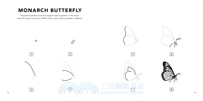 Bugs: How to Draw Books for Kids
