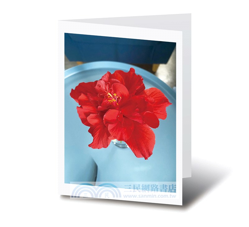 《歲月，莫不靜好》＋《歲月無驚》