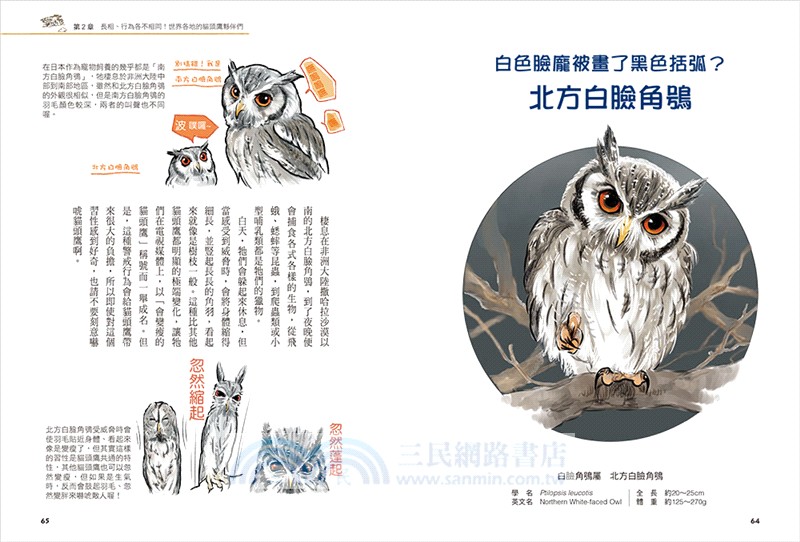 令人大開眼界的動物圖鑑【套書】：從天空、海洋、極地到森林，和孩子一起探索趣味動物世界！