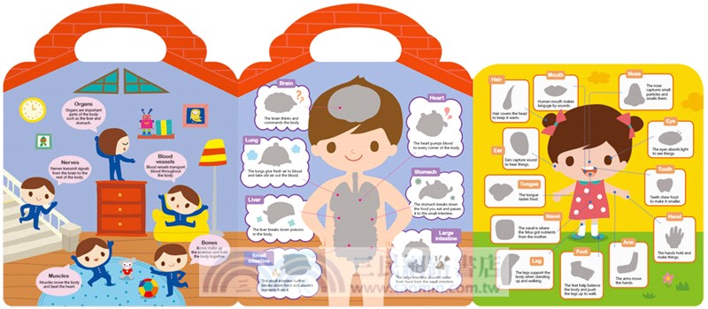 First Magnet Book：My body!