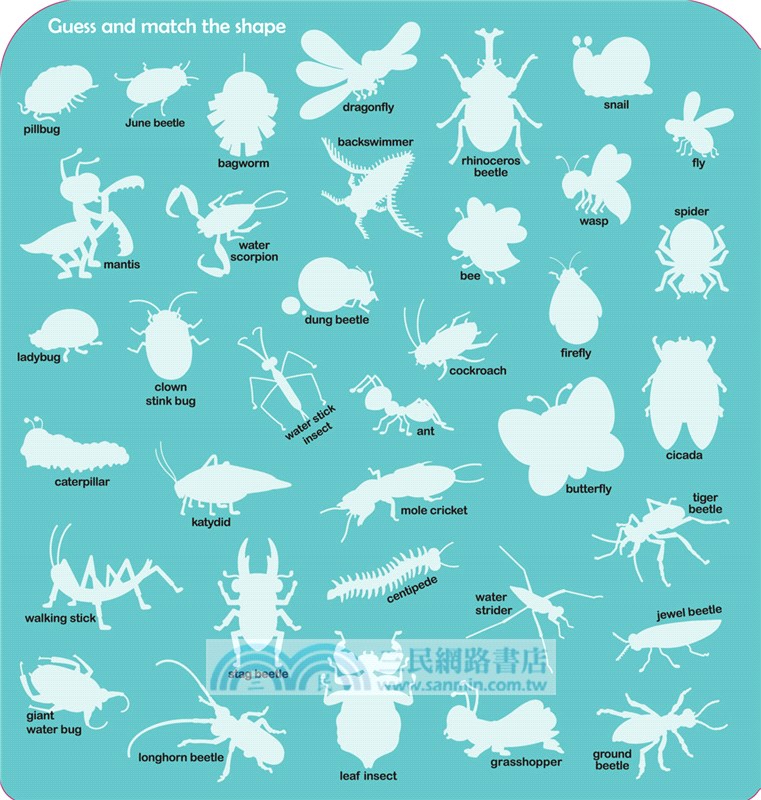 First Magnet Book：Insects!