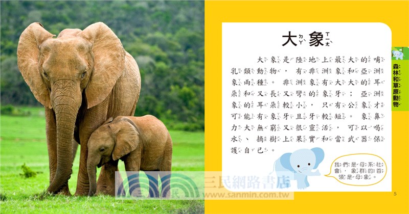 5Q益智教具：動物探險隊