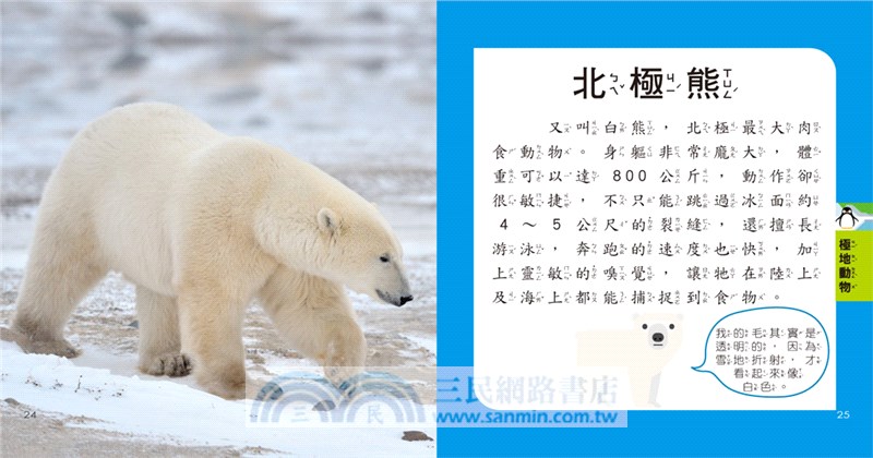 5Q益智教具：動物探險隊