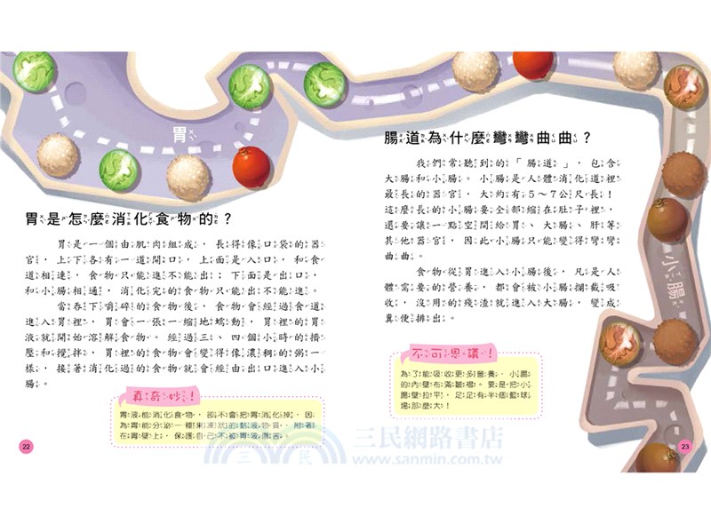 小學生的十萬個為什麼？動物＋人體＋地球+恐龍【共4冊】