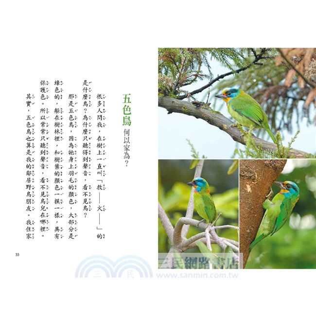 與野鳥為鄰的小日子套書：我的翎毛朋友＋野鳥的祕密（共二冊）