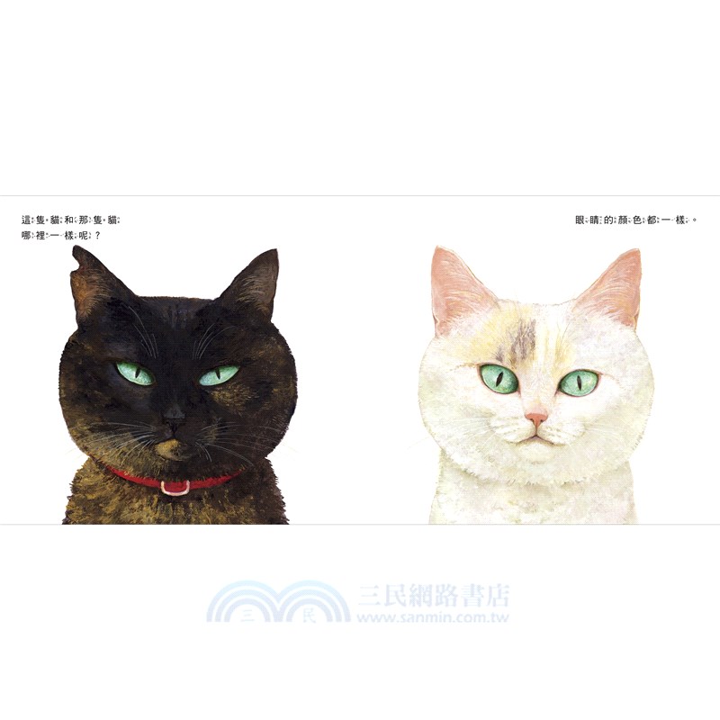 貓和貓