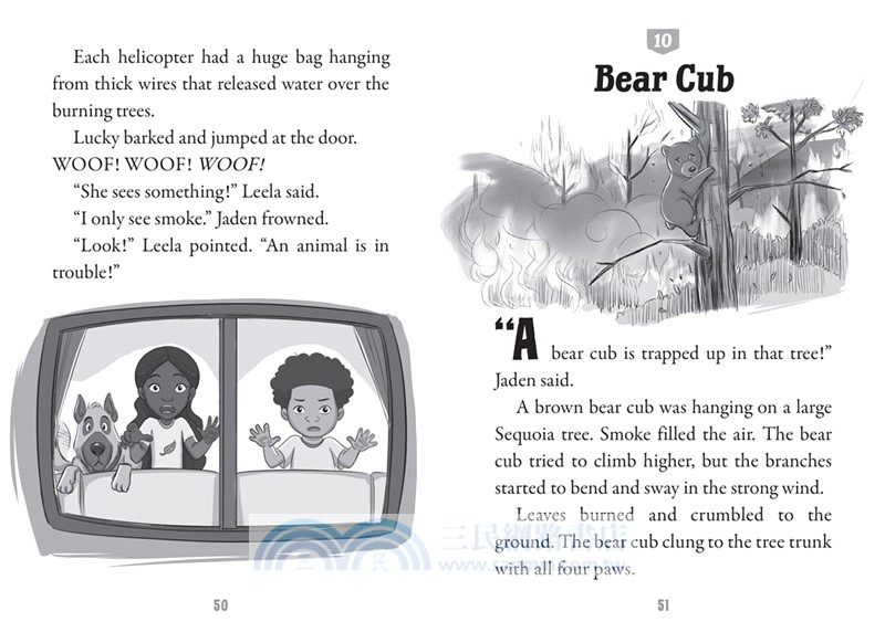 Disaster Squad #1-4 (A Branches Book)(平裝本)