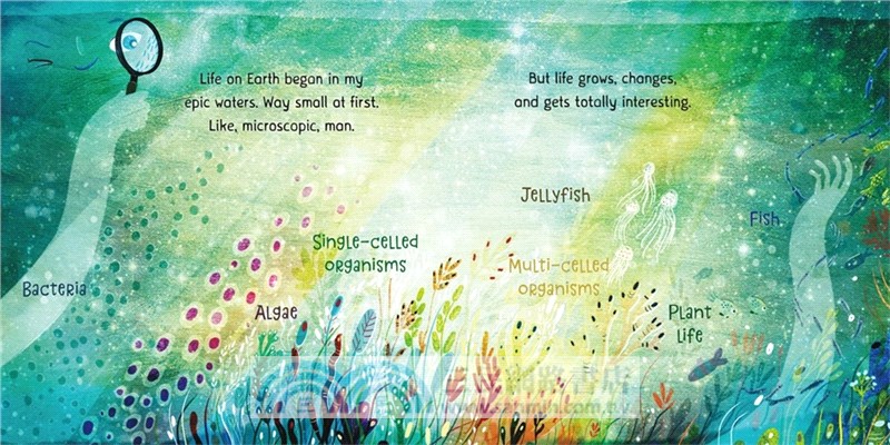 Our Universe 我們的宇宙：科學知識繪本組(共5本精裝本)