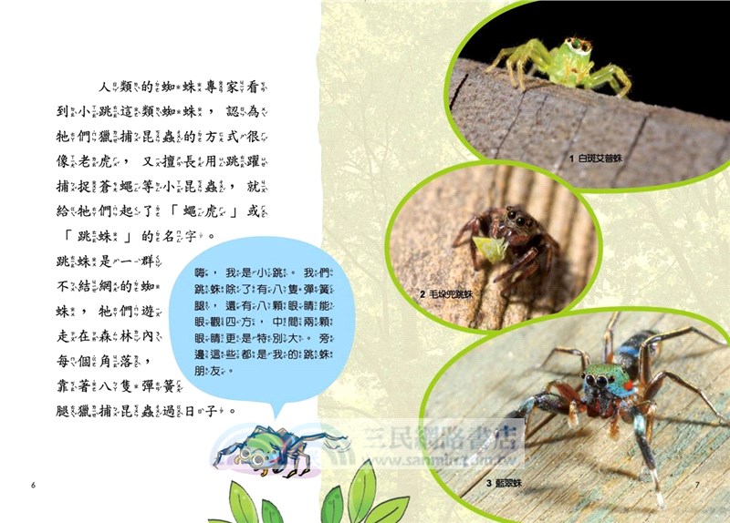 蟲小看世界01：綠野蛛蹤