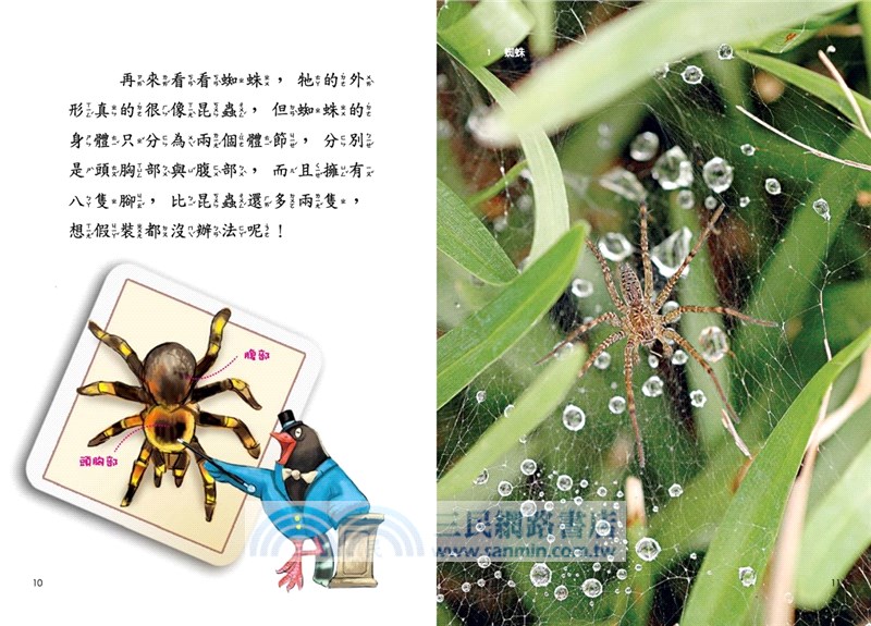 蟲小看世界02：蟲來沒看過