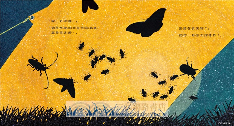 夜間觀察：一趟夜訪大自然的父子散步