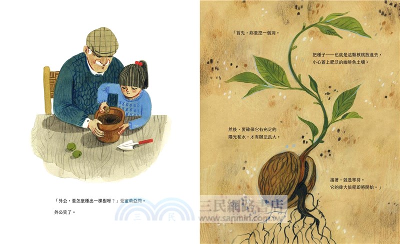 最初是一顆核桃（生命教育繪本）