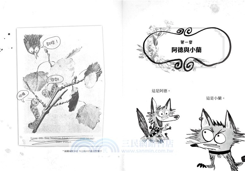 歡迎光臨瘋狂森林01：新來的狐狸姐弟