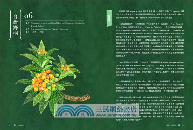 療癒之島：在60種森林香氣裡，聞見台灣的力量