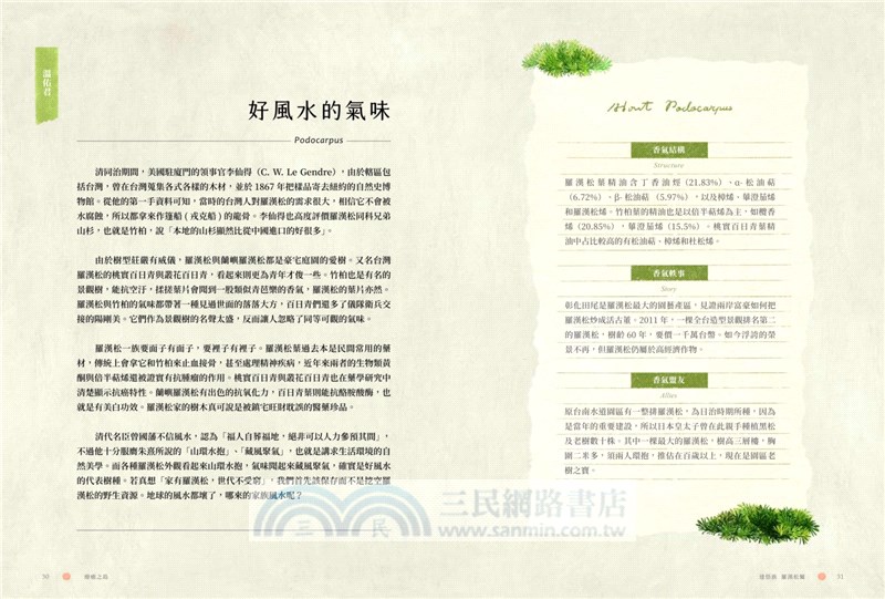 療癒之島：在60種森林香氣裡，聞見台灣的力量