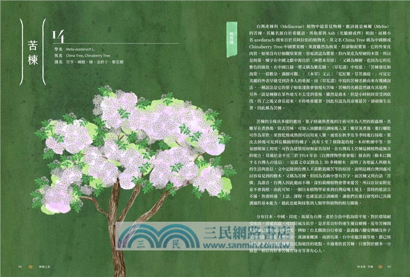 療癒之島：在60種森林香氣裡，聞見台灣的力量