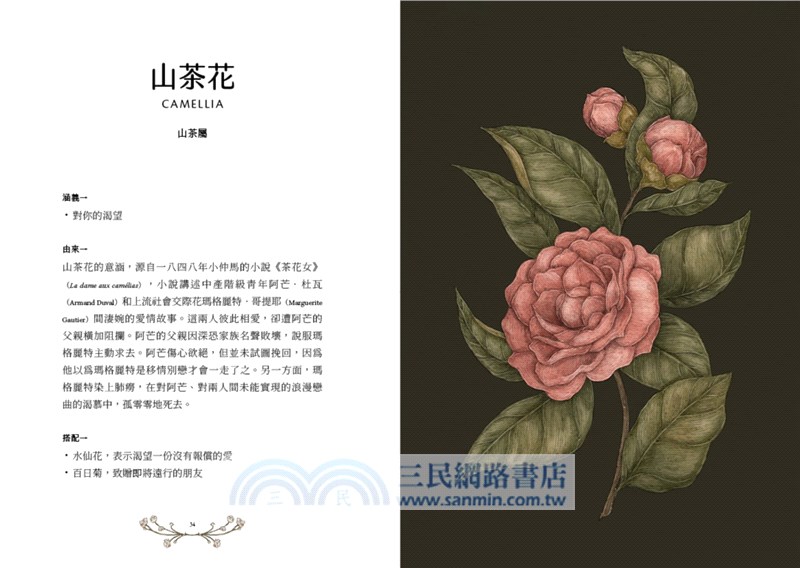 花瓣裡的悄悄話：維多利亞時代花語的象徵與緣起（全彩插圖本）