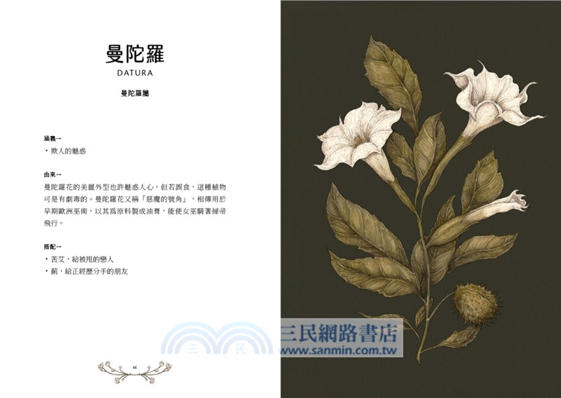 花瓣裡的悄悄話：維多利亞時代花語的象徵與緣起（全彩插圖本）