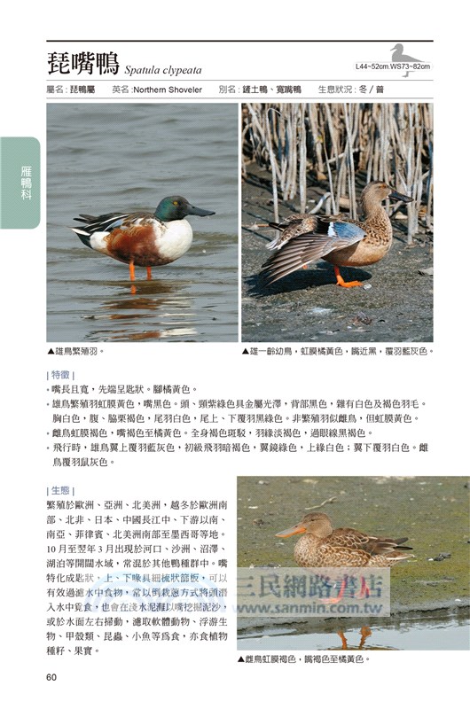 臺灣野鳥圖鑑：水鳥篇