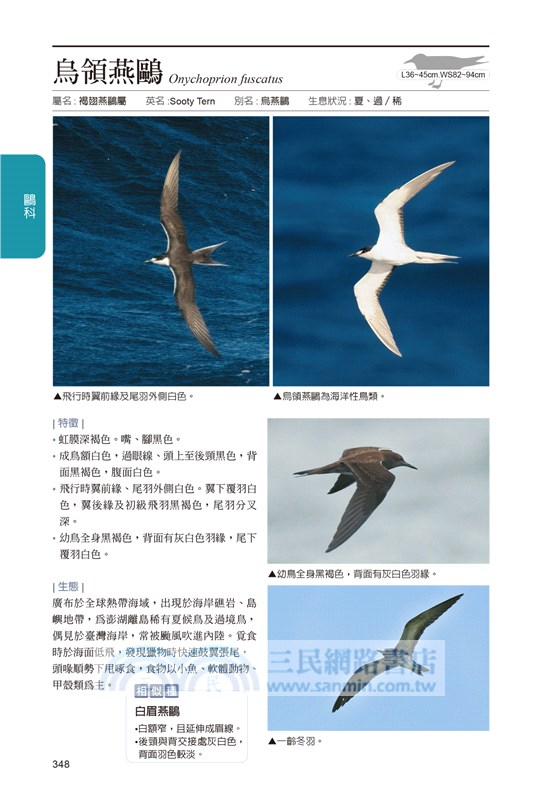 臺灣野鳥圖鑑：水鳥篇