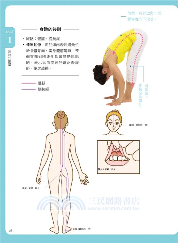 經絡按摩拉筋操：伸展拉筋＋穴位按摩，改善痠痛立即有效