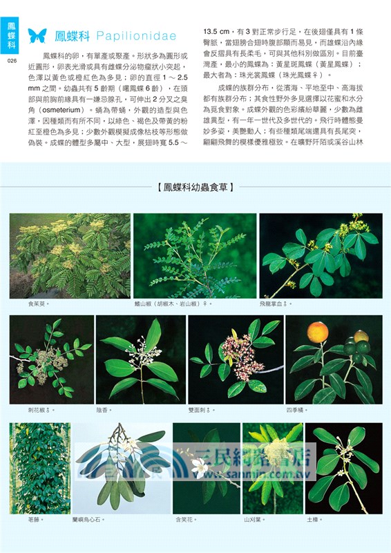 臺灣蝴蝶生活史百科圖鑑