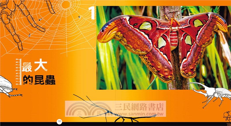 WOW！驚喜百科06：用AR認識昆蟲