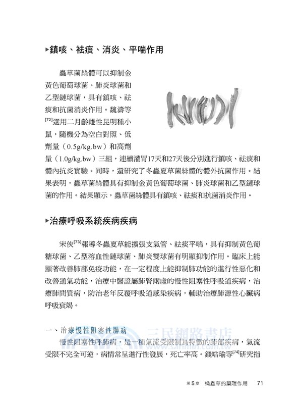 神奇的蛹蟲草：栽培、藥用與保健養生功效