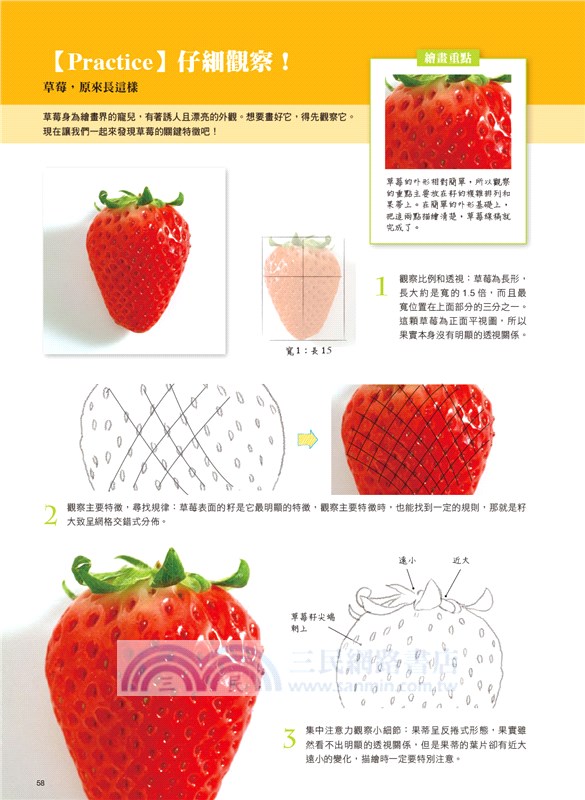 色鉛筆自學聖經：8大類、45個自學要點，第一本最全面的色鉛筆繪畫技巧寶典！【暢銷珍藏版】