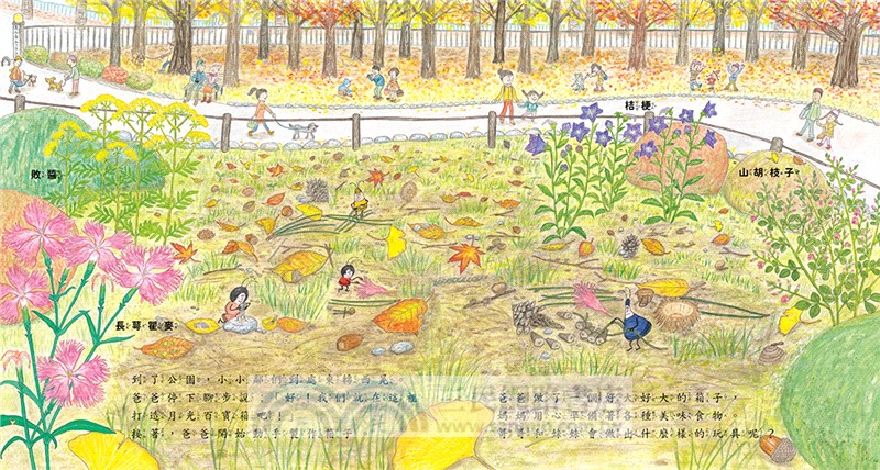 美妙的月光派對