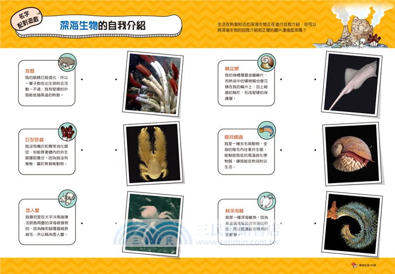 【野外生物觀察漫畫】蟲蟲博士10：深海生物