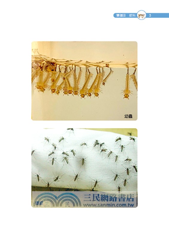 居家環境有害生物圖說