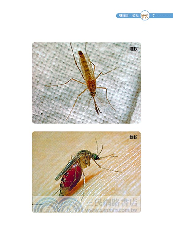 居家環境有害生物圖說