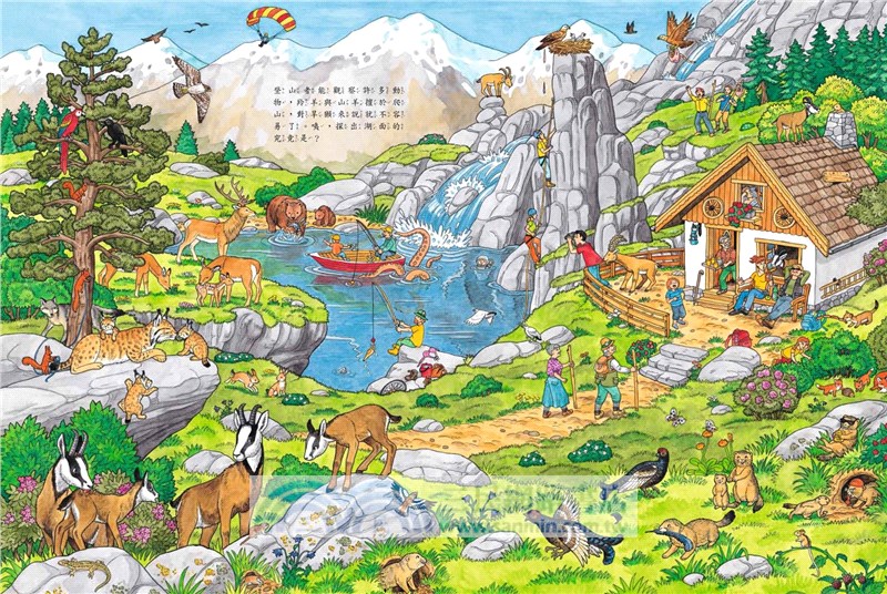 我最愛的動物：找找看，彩色鸚鵡在哪裡？