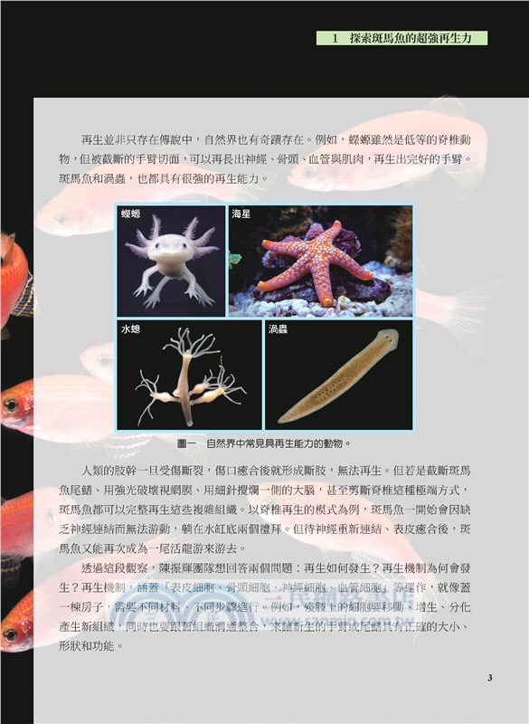 選修生物Ⅲ科青素報