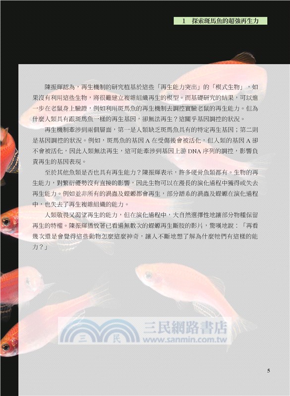 選修生物Ⅲ科青素報